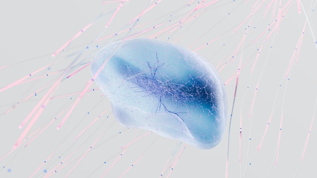 3d render of brain