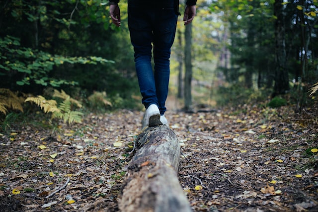 Going for a walk outdoors in the forest